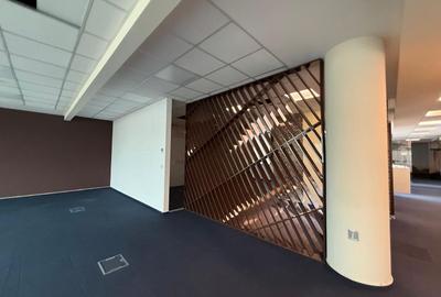 Spațiu de Birouri Premium pe Calea Floreasca – Versatil și Gata de Mutare - 3