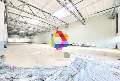 Hala de inchiriat Brasov - 1188 mp  # plus-imo.ro - 1