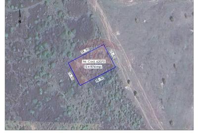 De vânzare teren 974 mp, în Paleu - 1