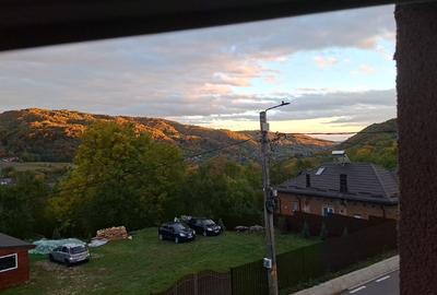 Proprietar vila Câmpulung Muscel str Dracesti 34 colt str Plaiesi - 7