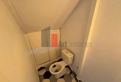 Spatiu comercial de inchiriat in zona Pache Protopopescu - 9