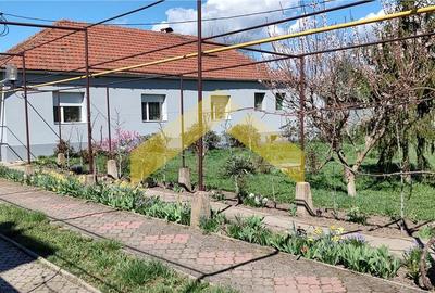 Teren Construcții intravilan de 4457 mp, în Grădiște