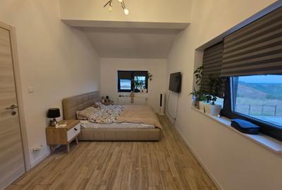 Complex Liziera de Lac, Comuna Frumusani, vila  partial mobilata si utilata - 11