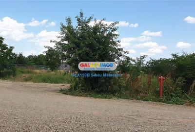 Balotesti - Teren 1.540 Mp str. Florilor - 11