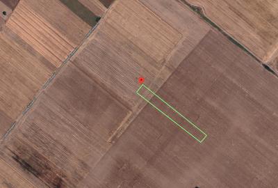 Teren Extravilan In Rate Primaverii Com. Berceni | 4997mp | #EG48 - 1