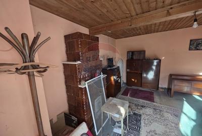 Gospodarie de vanzare in Giulvaz, judetul Timis - 20