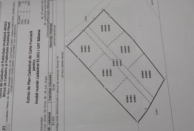 Teren intravilan 9.109m² + pădure 10.000 m² – 6 loturi cu utilități, Babana (Gr - 1