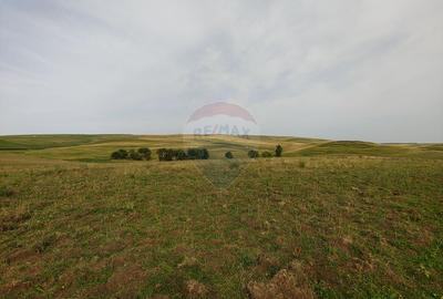 Teren parțial intravilan-300000mp Stroiești-Trei Movile, Suceava - 21