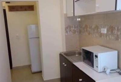 Garsoniera, etaj 2, Str. Livezeni, Tudor, Targu Mures - 2