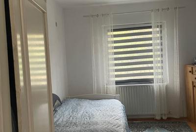Casa 216mp cu vie si livada, 2500 mp teren – Horodistea, comuna Cotnari, Iasi - 15