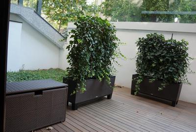 Apartament unic Primăverii - Piața Charles De Gaulle - 12