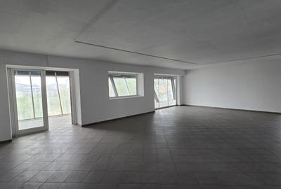 Spatiu comercial de inchiriat Podul Constanta - Chitila - Bucurestii Noi - 15