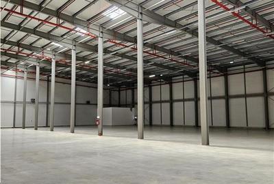 Spatiu Industrial - 5000 mp - Logistica - Productie - Depozitare - Distributie - 11