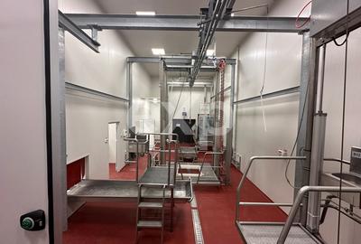 Black Angus Farm with authorized Slaughterhouse - 16
