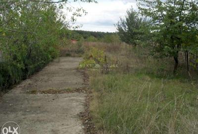 Teren la 35 km de Bucuresti - Izvorani - Ciolpani - 1