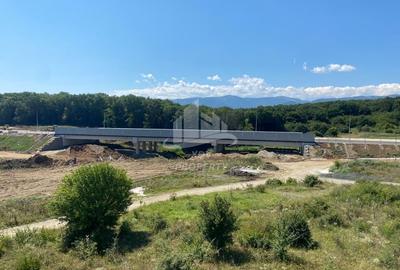 Constructie structura 3707 mp, teren intravilan aferent 8828 mp Sibiu /Selimbar - 16