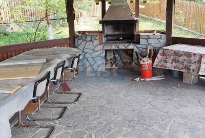 Vila spațioasă 5 dormitoare, Provita de Jos - 8