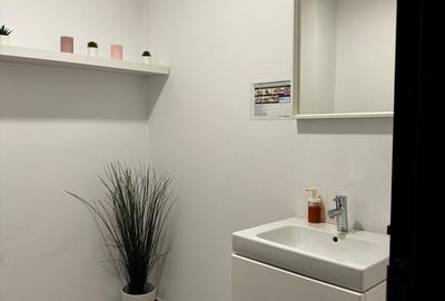 Cladire individuala, Stefan cel Mare – Eminescu. Ideal birou, clinica - 14