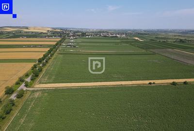 Teren - Orășeni Deal, Curtești | BOTOȘANI | 10.000mp - 4