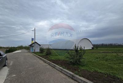 Hale de vanzare | 1407mp | Teren 9344 | Potigrafu - 3