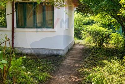 Casă cu teren 2.596 mp | Deschidere la drum asfaltat | Dridu, Ialomița - 1
