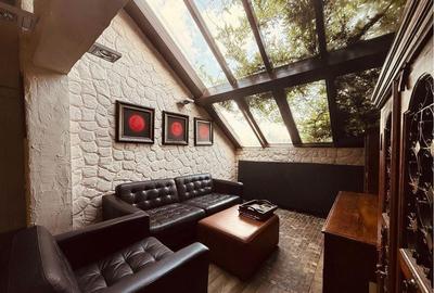 Vilă moderna  complex rezidențial Iancu Nicolae - 13