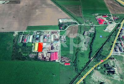 Hala industriala 2000 mp + teren 2776 mp | Rasnov – zona industriala Chimica - 13