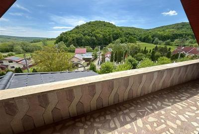 VILA DEOSEBITA IN SLATINA - LUNCANI - OAZA DE LINISTE LA MARGINEA PADURII - 16