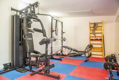 Vila,Piscina,teren fotbal,gradina,vegetatie - 11