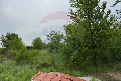 Teren Pentru Casa In Comuna Ciolpani - 0% Comision Cumparator - 3