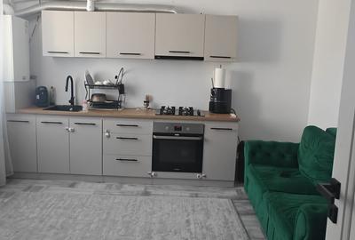 Apartament 2 camere open space, parter cu teren! - 2