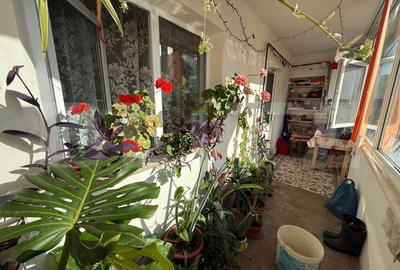 Apartament de 3 camere, 71 mp, zona Nicolina 1 - 12