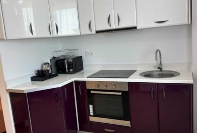 Exclusive Residence-Etaj intermediar-Apartament 1 camera-Copou - 2