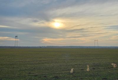 Comision 0% | Teren  30 hectare | Deschidere 550m A1 | Potential Ridicat - 3