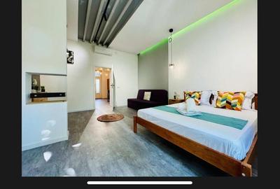 Apartament superb Take Ionescu - 2