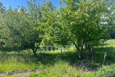 Teren de vânzare cu autorizație de construcție   Borhanci  Cluj-Napoca - 5