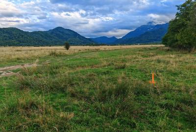 Teren rezidential RASNOV - Glajerie - 1