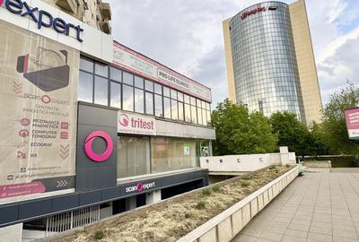 Închiriere Spațiu Comercial Premium central 240mp-Bd. A. Panu, Direct proprietar - 15