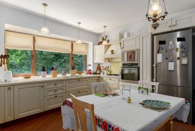 Eminescu - Teatrul Metropolis, Vila 6 camere, Pretabil Rezidential/ Birouri - 1