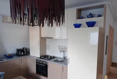 Apartament cu 2 camere în Jiului