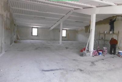 Hale pentru inchiriere aproape de Centura Arad si Autostrada A1 - 17