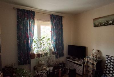 CASA INDIVIDUALA  in sat VLADICENI com. TOMESTI - 21