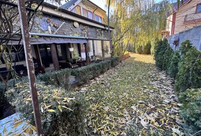 Imobil pretabil locuinta si afacere. Pozitie stradala. - 1