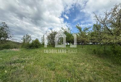 Teren intravilan construibil – 2.100 mp | Căianu - 6