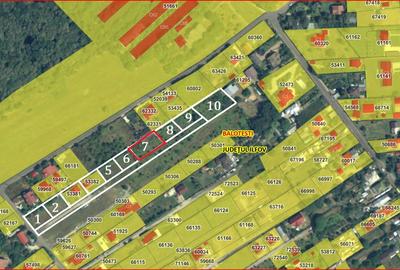 BALOTESTI – SAFTICA, LOT 460 MP! - 4