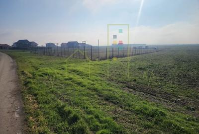 Teren agricol in intravilanul comunei Sacalaz. - 2
