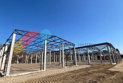 Hale de vânzare – 600 mp, open space, acces TIR, zona intrare Baciu - 6