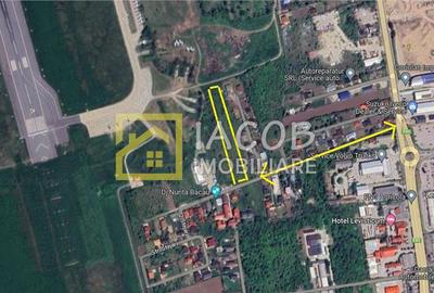 Teren 6208 mp Bacau / Strada 2 Stejari - 2