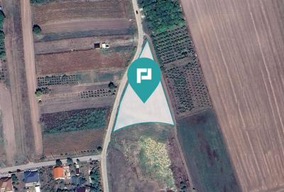 Teren intravilan de 4500 mp în Zădăreni - 3