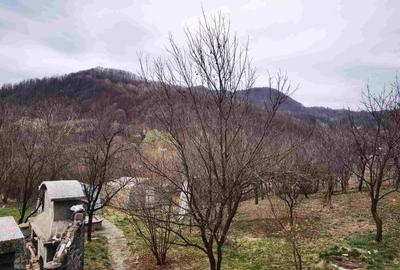 Super proprietate langa Breaza  cu teren  5000Mp , structura solida , cazemata - 10